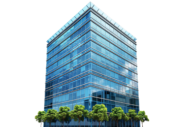 Deneyim ve Uzmanlık